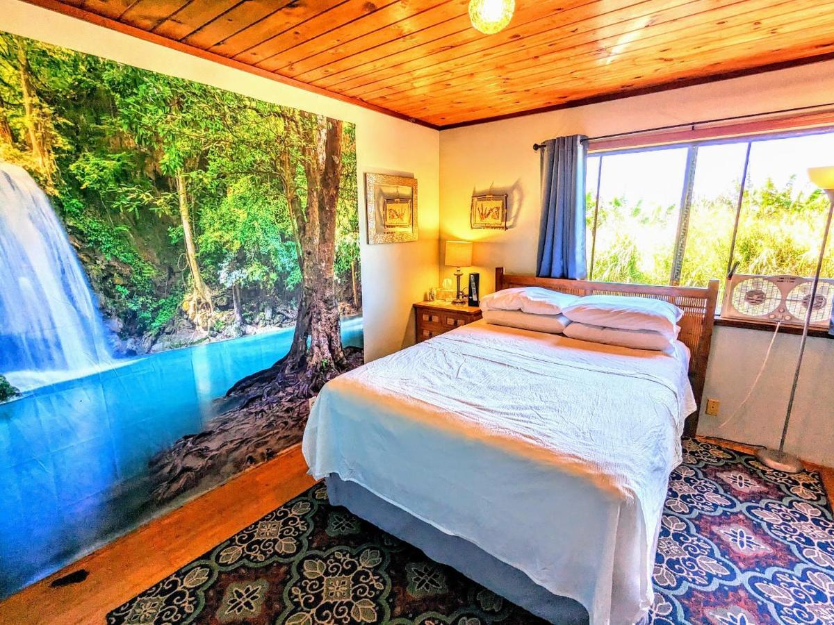 Hamakua Guesthouse Pepeekeo Εξωτερικό φωτογραφία