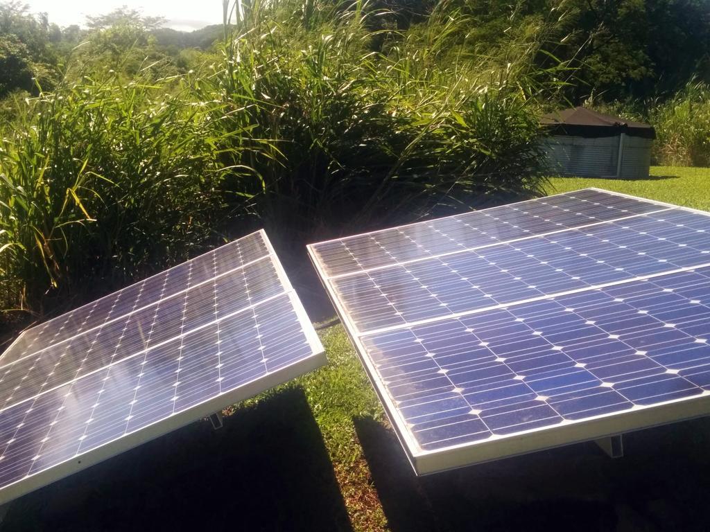 Hamakua Guesthouse Pepeekeo Εξωτερικό φωτογραφία
